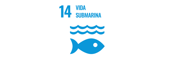 14 vida submarina